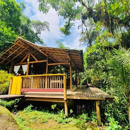 Eco Chalés Caminho das Águas Barra Grande  Esterno foto