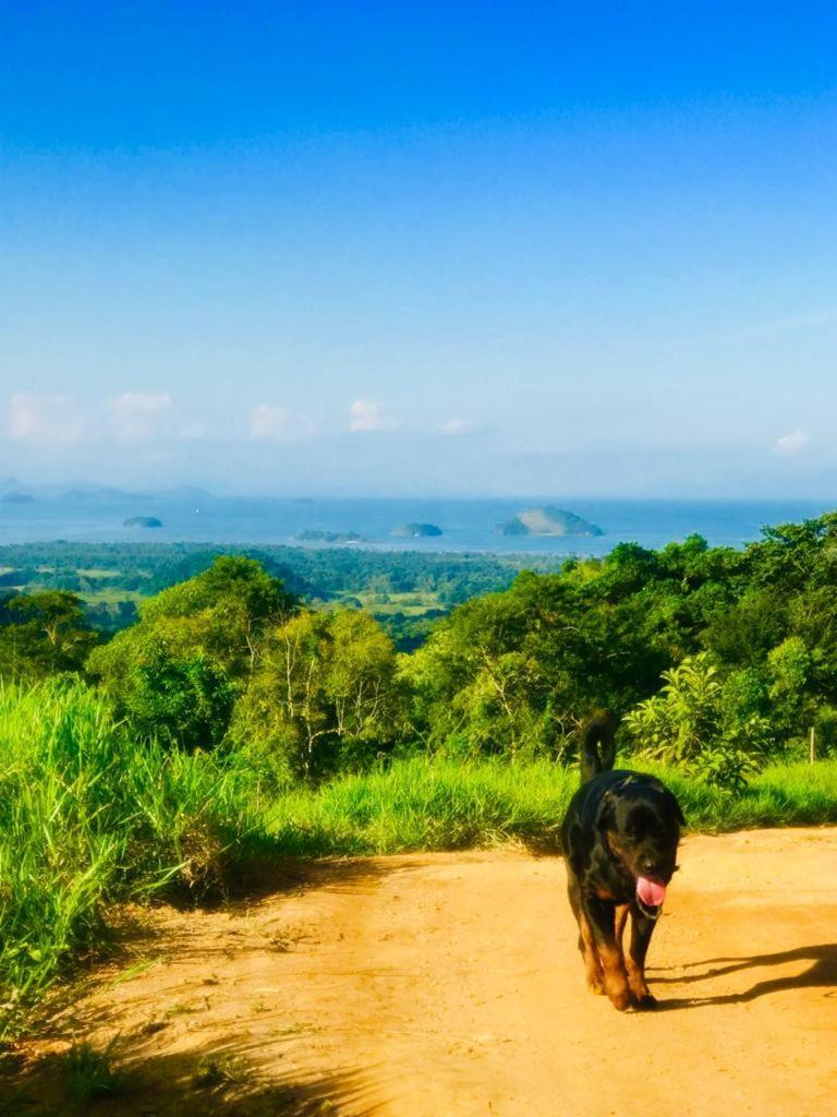 Eco Chalés Caminho das Águas Barra Grande  Esterno foto