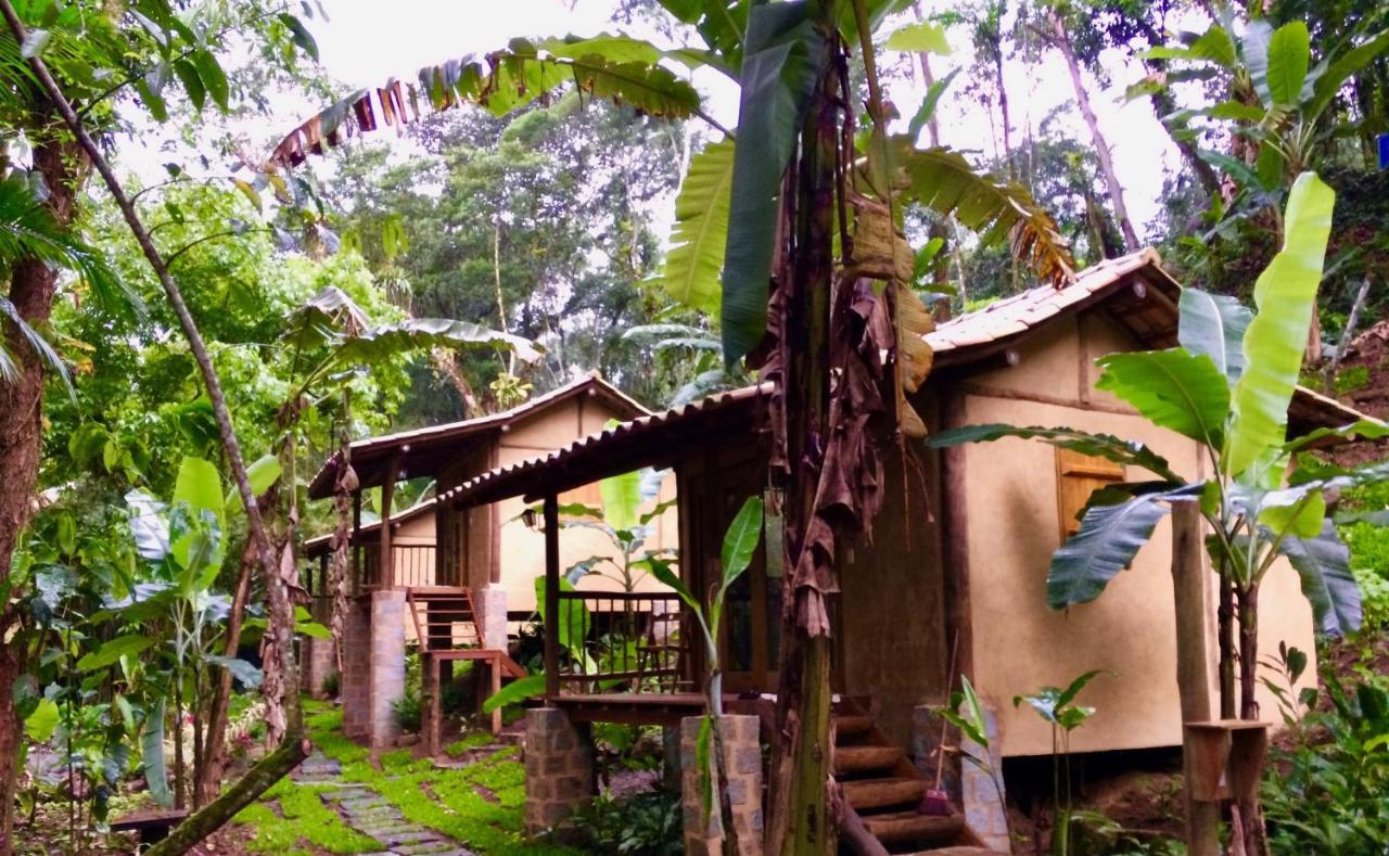 Eco Chalés Caminho das Águas Barra Grande  Esterno foto