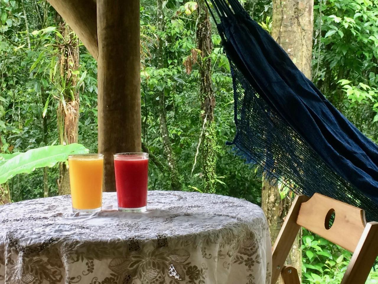 Eco Chalés Caminho das Águas Barra Grande  Esterno foto