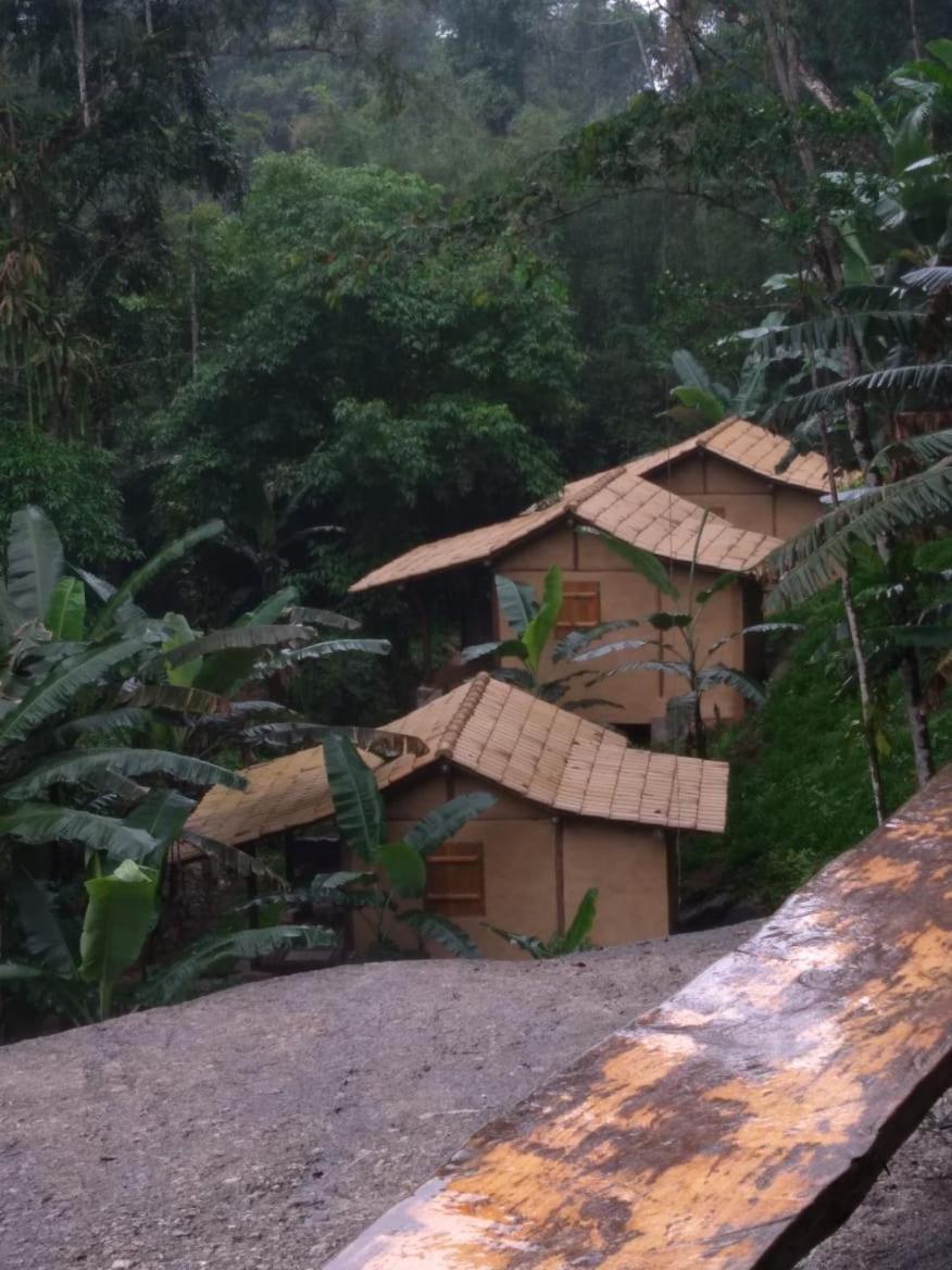 Eco Chalés Caminho das Águas Barra Grande  Esterno foto