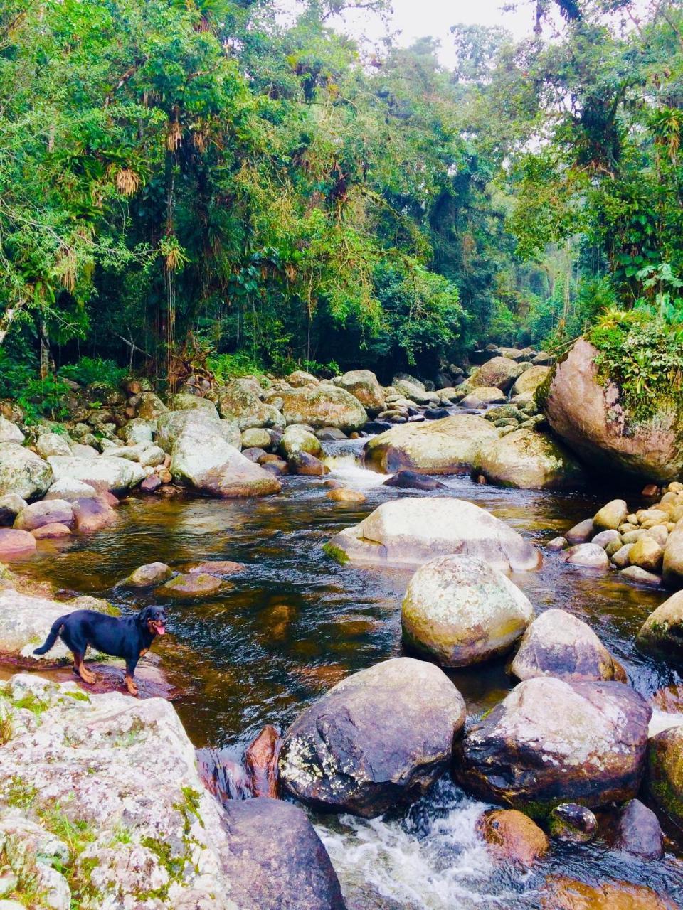 Eco Chalés Caminho das Águas Barra Grande  Esterno foto